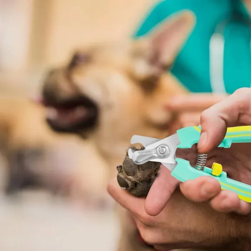 Dog Cat Nail Clippers Professional Stainless Steel Pet Nail Clipper - Image 5